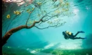 Cartel de Curso de buceo Open Water 2026